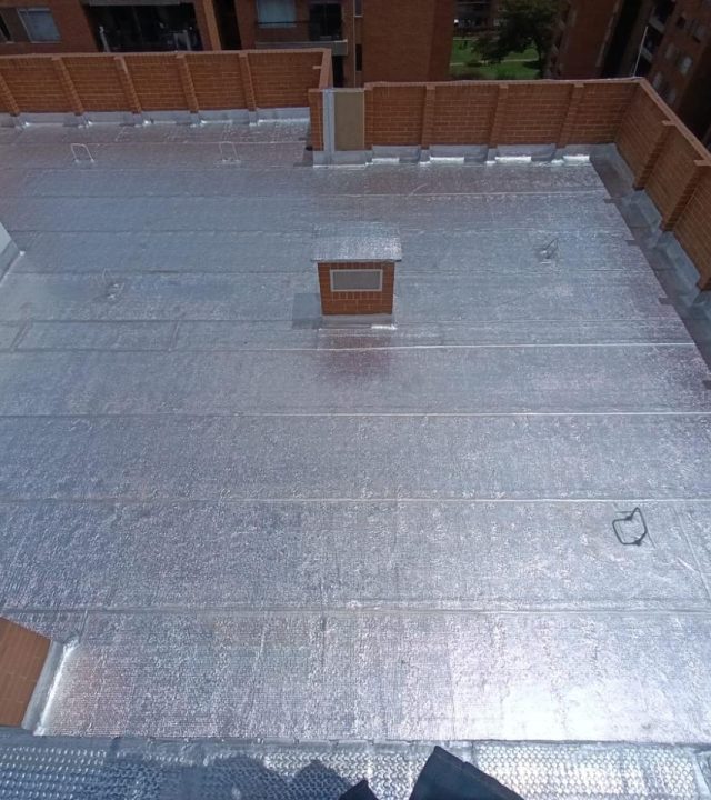 whatsapp image 2025 08 22 at 9.50.02 am